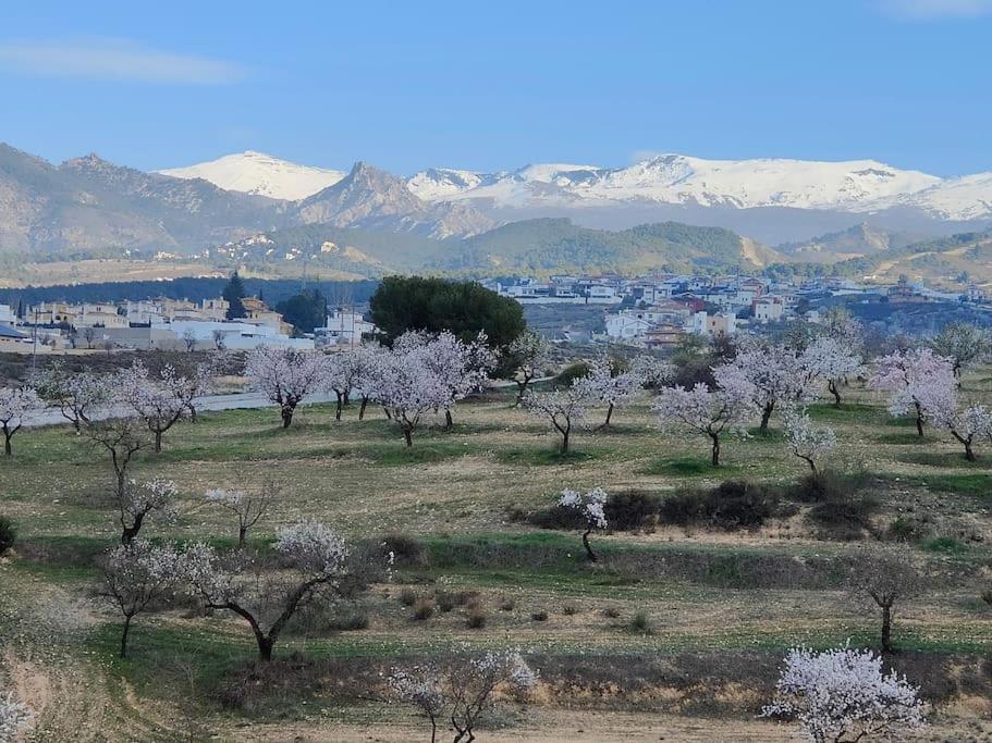Villa Terracota, Lujo En Granada Y Sierra Nevada Ngoại thất bức ảnh